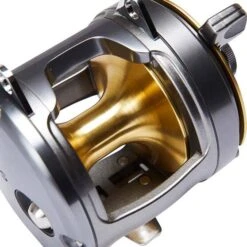 Shimano Tyrnos 20 Overhead Reel 19 Shimano Tyrnos 20 Overhead Reel -Fishing Store BCF 121680 07 hi res