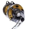 Shimano Tyrnos 30 Overhead Reel 1 Shimano Tyrnos 30 Overhead Reel -Fishing Store BCF 121681 00 hi res