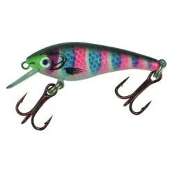 Neptune Trout Minnow Hard Body Lure 50mm Rainbow Trout