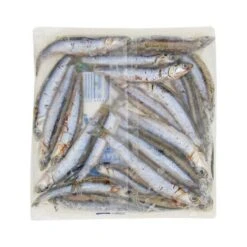 Tweed Bait Anchovies Small