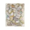 Tweed Bait Pipis In Shell 400g 1 Tweed Bait Pipis In Shell 400g -Fishing Store BCF 293977 00 hi res