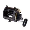 Shimano TLD 25 Overhead Reel -Fishing Store BCF 303426 00 hi res
