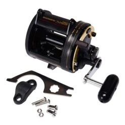 Shimano TLD 25 Overhead Reel 11 Shimano TLD 25 Overhead Reel -Fishing Store BCF 303426 04 hi res