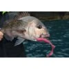 Berkley Gulp! Grub Soft Plastic Lure 6in Nuclear Chicken -Fishing Store BCF 323778 00 nuclearchicken hi res