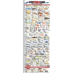 AFN Fish Ruler Guide