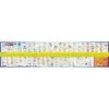 AFN Maxi Fish Ruler -Fishing Store BCF 367092 hi res