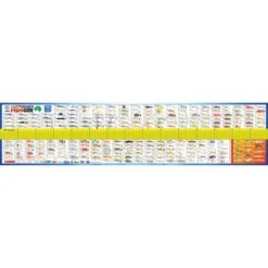 AFN Maxi Fish Ruler