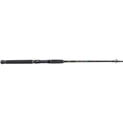 Shimano Beastmaster Overhead Rod 5ft 5 In 15-24 Kg 1 Piece