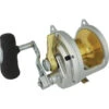 Shimano Talica 50 2 Speed Overhead Reel 1 Shimano Talica 50 2 Speed Overhead Reel -Fishing Store BCF 520273 hi res