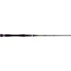 NS Black Hole Amped II Baitcaster Rod -Fishing Store BCF 589504 00 hi res