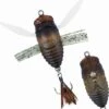 Duo Realis Shinmushi Cicada Surface Lure 4cm Semigara -Fishing Store BCF 597714 semigara hi res