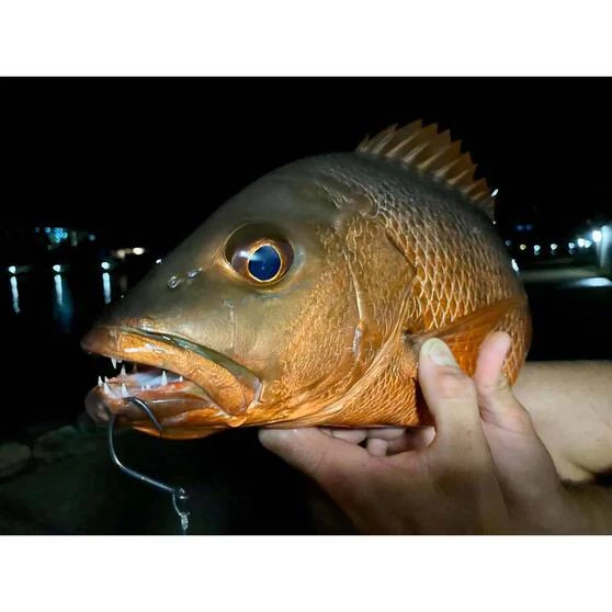 BKK Mutsu Circle Light Hook 3 BKK Mutsu Circle Light Hook