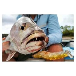 MMD Splash Prawn Surface Lure 70mm Sunburnt Jelly 17 MMD Splash Prawn Surface Lure 70mm Sunburnt Jelly -Fishing Store BCF 605401 04 sunburntjelly hi res