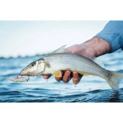 MMD Splash Prawn Surface Lure 70mm Sunburnt Jelly 18 MMD Splash Prawn Surface Lure 70mm Sunburnt Jelly -Fishing Store BCF 605401 05 sunburntjelly hi res