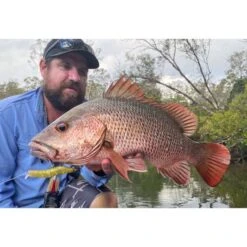 MMD Splash Prawn Surface Lure 70mm Sunburnt Jelly 19 MMD Splash Prawn Surface Lure 70mm Sunburnt Jelly -Fishing Store BCF 605401 06 sunburntjelly hi res