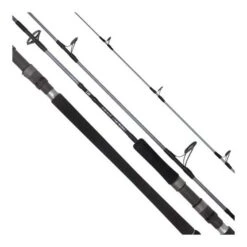 Daiwa 20 TD Saltwater Spinning Rod