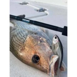 Nomad Vertrex Swim Soft Vibe Lure 95mm Green Gold Gizzy -Fishing Store BCF 605924 04 greengoldgizzy hi res