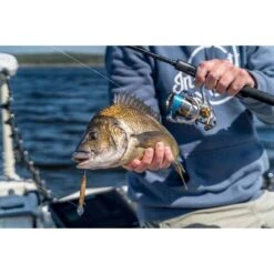 Daiwa Freams LT Spinning Reel 5000-CXH 17 Daiwa Freams LT Spinning Reel 5000-CXH -Fishing Store BCF 613018 06 hi res