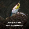 Shimano Bantam BT Sraptor Swimbait Lure 182mm Chart Gill -Fishing Store BCF 619091 00 chartgill hi res