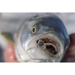 Berkley Powerbait Shrimp Soft Plastic Lure 3in Pink Glitter -Fishing Store BCF 623047 07 pinkglitter hi res