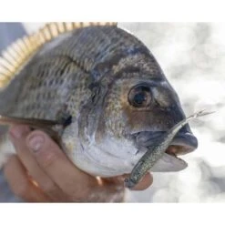 Berkley Powerbait Forktail Minnow Soft Plastic Lure 3.5in Bleak