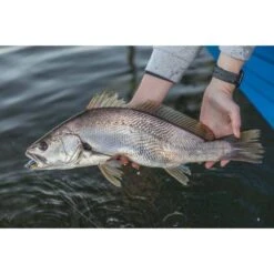 Berkley Powerbait Jerkshad Soft Plastic Lure 5in Bleak