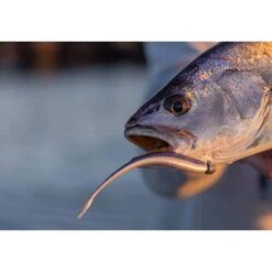 Berkley Powerbait Jerkshad Soft Plastic Lure 5in Bleak -Fishing Store BCF 623077 04 bleak hi res