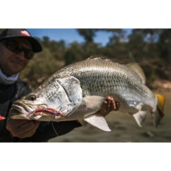 Berkley Shimma Shrimp Soft Vibe Lure 120mm Nuclear Shrimp -Fishing Store BCF 623138 05 nuclearshrimp hi res