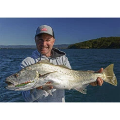 Berkley Shimma Shrimp Soft Vibe Lure 120mm Nuclear Shrimp -Fishing Store BCF 623138 07 nuclearshrimp hi res