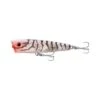 Fishcraft Snoop Pop Surface Lure 65mm Clear Tiger -Fishing Store BCF 635724 cleartiger hi res