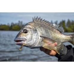 Berkley PowerBait Fan Tail Shrimp Soft Plastic Lure 3in Cappuccino -Fishing Store BCF 637691 02 cappuccino hi res