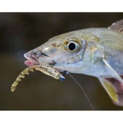 Berkley PowerBait Fan Tail Shrimp Soft Plastic Lure 3in Cappuccino -Fishing Store BCF 637691 07 cappuccino hi res