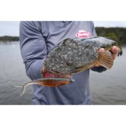 Berkley PowerBait Fork Tail Minnow Soft Plastic Lure 4.5in Blue Shiner Gold