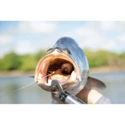 Berkley Shimma Pro-Rig Soft Plastic Lure 5.5in Dirty Peach -Fishing Store BCF 637737 04 dirtypeach hi res