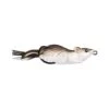 Livetarget Hollow Body Mouse Surface Lure 2.75in Brown White -Fishing Store BCF 644256 brownwhite hi res