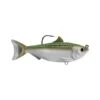 Livetarget Sardine Swimbait Lure 3.5in Silver Green