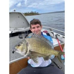 Blue Lip Baits Micro Mussel L Lure 3cm Dark Knight -Fishing Store BCF 653365 04 darkknight hi res