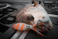 Nomad Squidtrex Jig Lure 110mm Brown Sparkle -Fishing Store BCF 658904 06 brownsparkle hi res