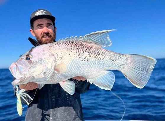 Nomad Squidtrex Jig Lure 130mm Brown Sparkle 5 Nomad Squidtrex Jig Lure 130mm Brown Sparkle - Image 3