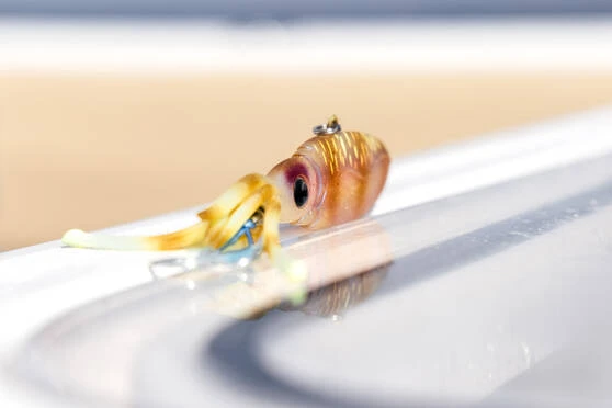 Nomad Squidtrex Jig Lure 130mm Brown Sparkle 12 Nomad Squidtrex Jig Lure 130mm Brown Sparkle - Image 10