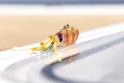 Nomad Squidtrex Jig Lure 95mm Cali Red -Fishing Store BCF 658932 09 calired hi res